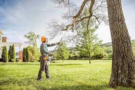 Best Lawn Renovation and Restoration  in Clintonville, WI