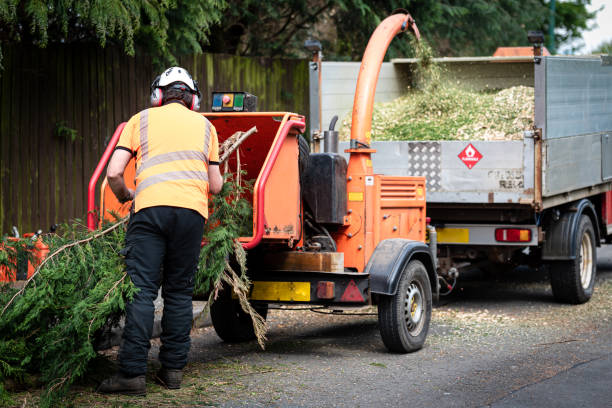 Best Weed Control  in Clintonville, WI