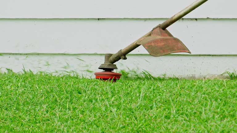 Best Lawn Disease Treatment  in Clintonville, WI