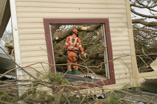 Best Tree Cabling and Bracing  in Clintonville, WI
