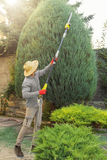 Best Artificial Turf Installation  in Clintonville, WI